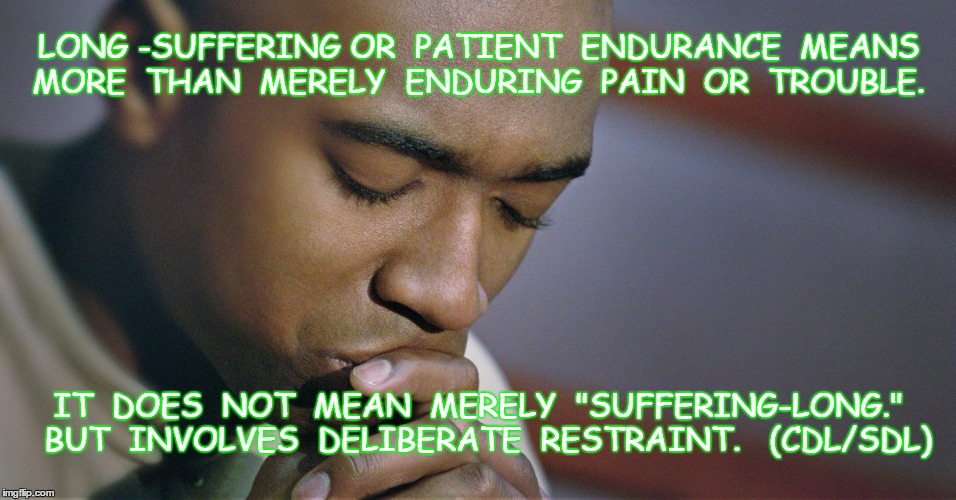 Long-Suffering Means Patient Endurance Too. | LONG -SUFFERING OR  PATIENT  ENDURANCE  MEANS  MORE  THAN  MERELY  ENDURING  PAIN  OR  TROUBLE. IT  DOES  NOT  MEAN  MERELY  "SUFFERING-LONG."  BUT  INVOLVES  DELIBERATE  RESTRAINT.   (CDL/SDL) | image tagged in tag | made w/ Imgflip meme maker