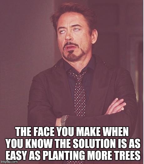 Face You Make Robert Downey Jr Meme | THE FACE YOU MAKE WHEN YOU KNOW THE SOLUTION IS AS EASY AS PLANTING MORE TREES | image tagged in memes,face you make robert downey jr | made w/ Imgflip meme maker