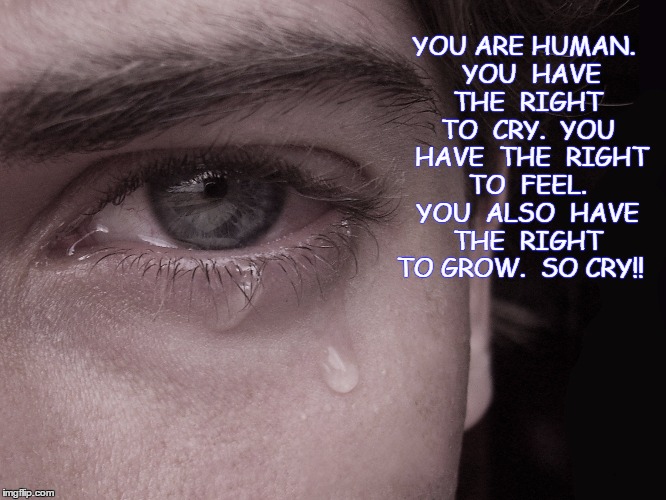Only Human | YOU ARE HUMAN.  YOU  HAVE  THE  RIGHT  TO  CRY.  YOU  HAVE  THE  RIGHT  TO  FEEL.  YOU  ALSO  HAVE  THE  RIGHT  TO GROW.  SO CRY!! | image tagged in human | made w/ Imgflip meme maker