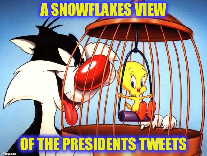A SNOWFLAKES VIEW; OF THE PRESIDENTS TWEETS | image tagged in memes,tweety bird,trump tweet | made w/ Imgflip meme maker