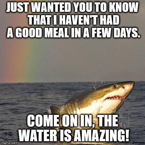 JUST WANTED YOU TO KNOW THAT I HAVEN'T HAD A GOOD MEAL IN A FEW DAYS. COME ON IN, THE WATER IS AMAZING! | image tagged in shark | made w/ Imgflip meme maker