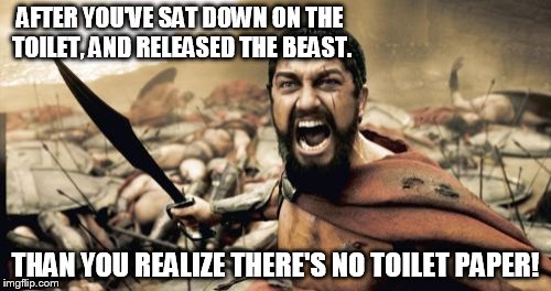 Sparta Leonidas Meme | AFTER YOU'VE SAT DOWN ON THE TOILET, AND RELEASED THE BEAST. THAN YOU REALIZE THERE'S NO TOILET PAPER! | image tagged in memes,sparta leonidas | made w/ Imgflip meme maker