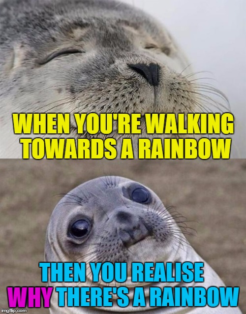 This is one rainbow I don't want to taste... :) | WHEN YOU'RE WALKING TOWARDS A RAINBOW; THEN YOU REALISE WHY THERE'S A RAINBOW; WHY | image tagged in memes,short satisfaction vs truth,weather,rainbows,rain,soaked | made w/ Imgflip meme maker