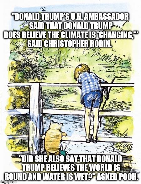 Pooh Sticks | "DONALD TRUMP'S U.N. AMBASSADOR SAID THAT DONALD TRUMP DOES BELIEVE THE CLIMATE IS 'CHANGING,'" SAID CHRISTOPHER ROBIN. "DID SHE ALSO SAY THAT DONALD TRUMP BELIEVES THE WORLD IS ROUND AND WATER IS WET?" ASKED POOH. | image tagged in pooh sticks | made w/ Imgflip meme maker