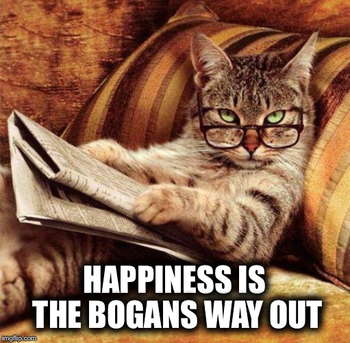 Smart Cat | HAPPINESS IS THE BOGANS WAY OUT | image tagged in smart cat | made w/ Imgflip meme maker
