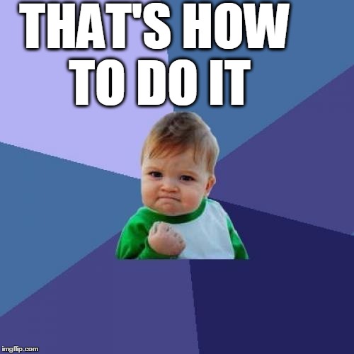 Success Kid Meme | THAT'S HOW TO DO IT | image tagged in memes,success kid | made w/ Imgflip meme maker