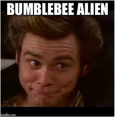 Ace Ventura | BUMBLEBEE ALIEN | image tagged in ace ventura | made w/ Imgflip meme maker