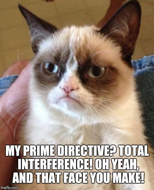 Grumpy Cat Meme | MY PRIME DIRECTIVE? TOTAL INTERFERENCE! OH YEAH, AND THAT FACE YOU MAKE! | image tagged in memes,grumpy cat | made w/ Imgflip meme maker