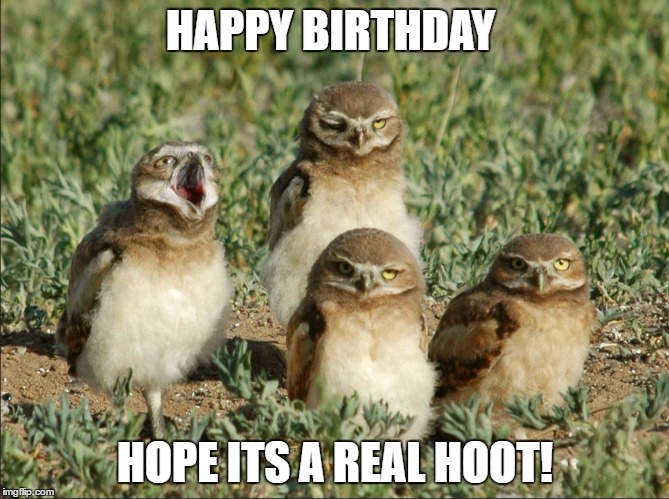 Burrowing owls | HAPPY BIRTHDAY; HOPE ITS A REAL HOOT! | image tagged in burrowing owls | made w/ Imgflip meme maker