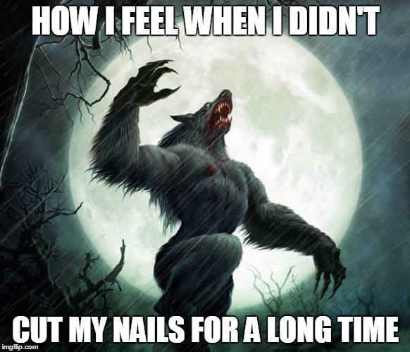 HOW I FEEL WHEN I DIDN'T; CUT MY NAILS FOR A LONG TIME | image tagged in ww | made w/ Imgflip meme maker