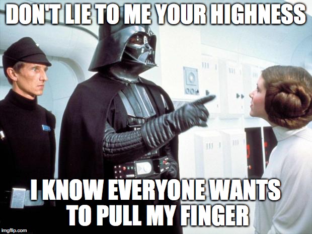 Darth Vader | DON'T LIE TO ME YOUR HIGHNESS; I KNOW EVERYONE WANTS TO PULL MY FINGER | image tagged in darth vader | made w/ Imgflip meme maker
