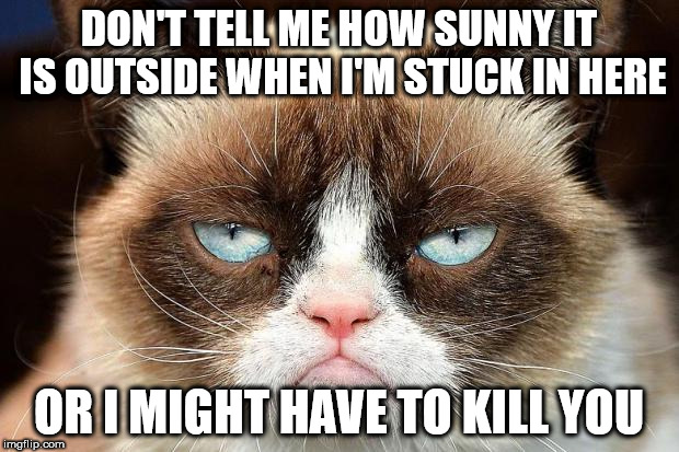 Grumpy Cat Not Amused Meme | DON'T TELL ME HOW SUNNY IT IS OUTSIDE WHEN I'M STUCK IN HERE; OR I MIGHT HAVE TO KILL YOU | image tagged in memes,grumpy cat not amused,grumpy cat | made w/ Imgflip meme maker