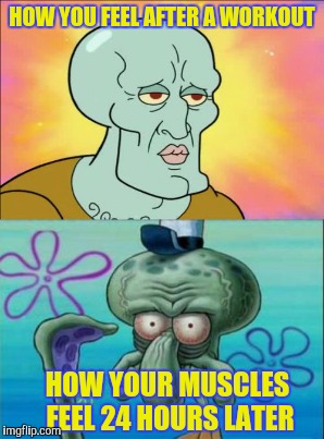 HOW YOU FEEL AFTER A WORKOUT HOW YOUR MUSCLES FEEL 24 HOURS LATER | made w/ Imgflip meme maker