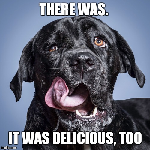 THERE WAS. IT WAS DELICIOUS, TOO | made w/ Imgflip meme maker