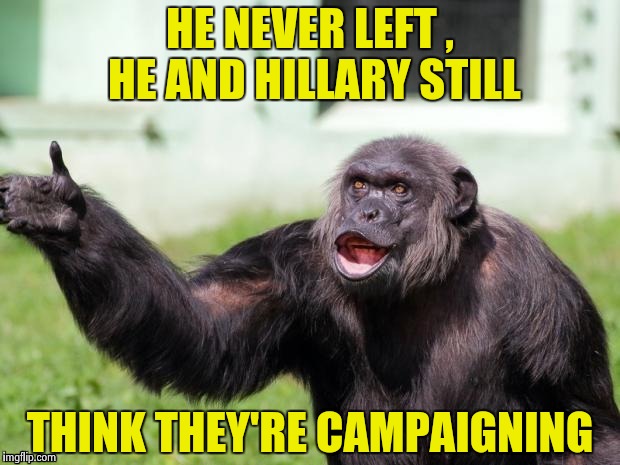 Gorilla your dreams | HE NEVER LEFT , HE AND HILLARY STILL THINK THEY'RE CAMPAIGNING | image tagged in gorilla your dreams | made w/ Imgflip meme maker