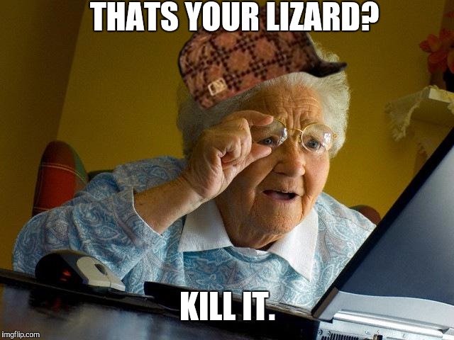 Grandma Finds The Internet Meme | THATS YOUR LIZARD? KILL IT. | image tagged in memes,grandma finds the internet,scumbag | made w/ Imgflip meme maker
