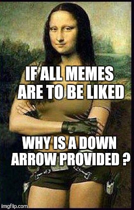 Memes | IF ALL MEMES ARE TO BE LIKED WHY IS A DOWN ARROW PROVIDED ? | image tagged in memes | made w/ Imgflip meme maker