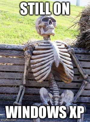 Waiting Skeleton | STILL ON; WINDOWS XP | image tagged in memes,waiting skeleton | made w/ Imgflip meme maker