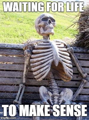 Waiting Skeleton | WAITING FOR LIFE; TO MAKE SENSE | image tagged in memes,waiting skeleton | made w/ Imgflip meme maker