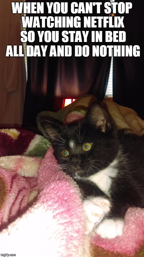 netflix kitty | WHEN YOU CAN'T STOP WATCHING NETFLIX SO YOU STAY IN BED ALL DAY AND DO NOTHING | image tagged in kitty,netflix and chill | made w/ Imgflip meme maker