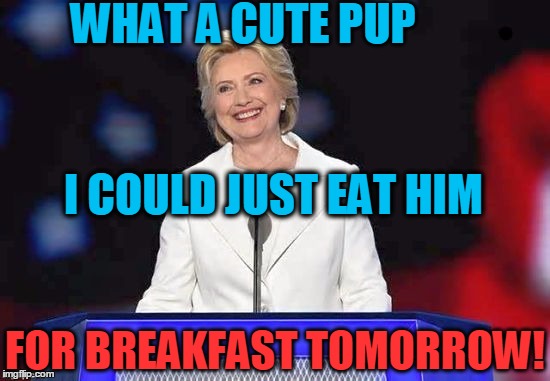 WHAT A CUTE PUP FOR BREAKFAST TOMORROW! I COULD JUST EAT HIM | image tagged in hillary | made w/ Imgflip meme maker