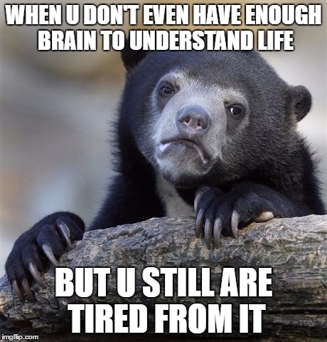 Confession Bear Meme | WHEN U DON'T EVEN HAVE ENOUGH BRAIN TO UNDERSTAND LIFE; BUT U STILL ARE TIRED FROM IT | image tagged in memes,confession bear | made w/ Imgflip meme maker