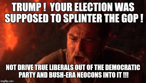 Anyone else on the Left feel like an island...? | TRUMP !  YOUR ELECTION WAS SUPPOSED TO SPLINTER THE GOP ! NOT DRIVE TRUE LIBERALS OUT OF THE DEMOCRATIC PARTY AND BUSH-ERA NEOCONS INTO IT !!! | image tagged in obi-wan | made w/ Imgflip meme maker