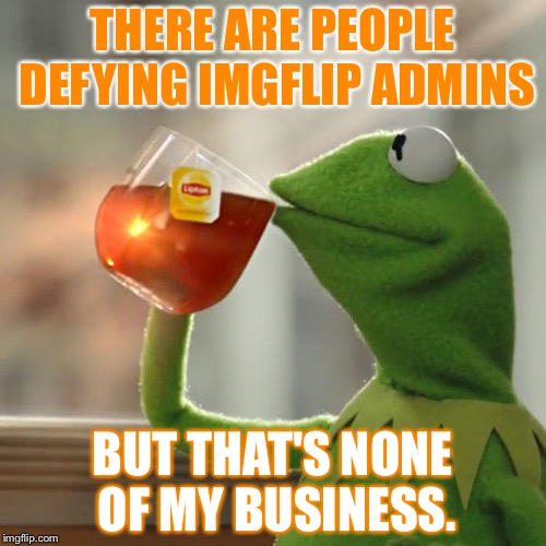 Defying admins | THERE ARE PEOPLE DEFYING IMGFLIP ADMINS; BUT THAT'S NONE OF MY BUSINESS. | image tagged in memes,but thats none of my business,kermit the frog | made w/ Imgflip meme maker