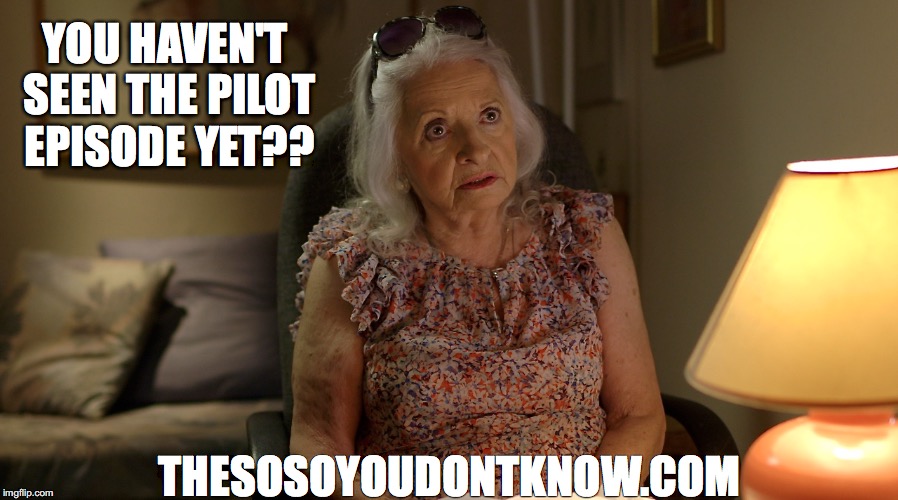 YOU HAVEN'T SEEN THE PILOT EPISODE YET?? THESOSOYOUDONTKNOW.COM | image tagged in theso-soyoudon'tknowcom | made w/ Imgflip meme maker