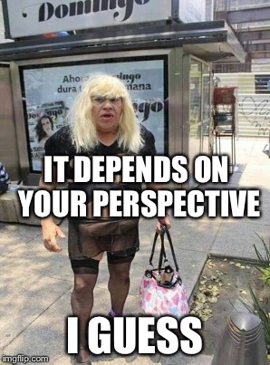 IT DEPENDS ON YOUR PERSPECTIVE I GUESS | made w/ Imgflip meme maker