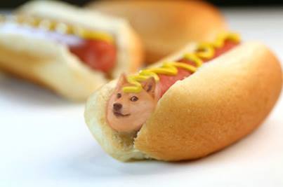 Hot doge Blank Meme Template