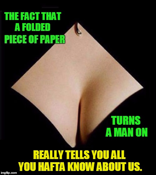 On the True Nature of Men | THE FACT THAT A FOLDED; TURNS A MAN ON; REALLY TELLS YOU ALL YOU HAFTA KNOW ABOUT US. | image tagged in vince vance,cleavage,folded paper,what a man sees | made w/ Imgflip meme maker