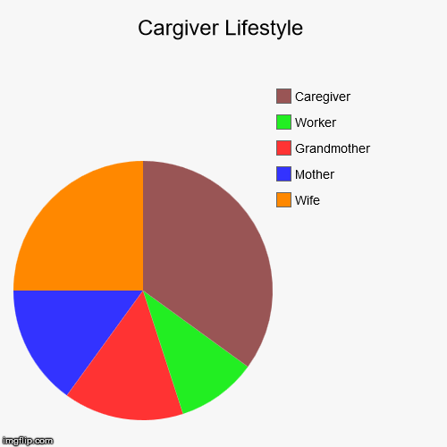 Lifestyle Pie Chart