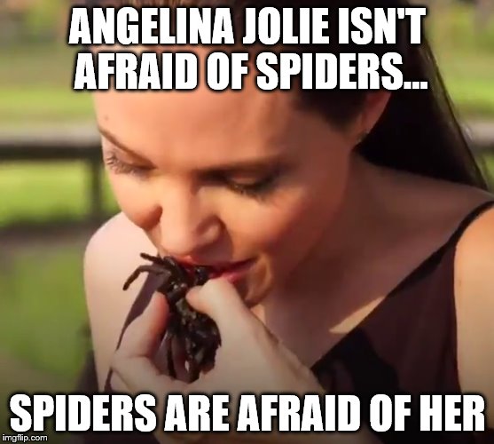 Angelina Jolie~ - Imgflip