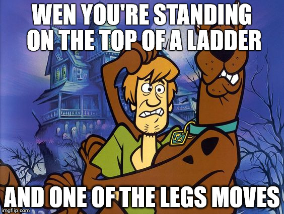 Scooby - Shaggy scared | WEN YOU'RE STANDING ON THE TOP OF A LADDER; AND ONE OF THE LEGS MOVES | image tagged in scooby - shaggy scared | made w/ Imgflip meme maker