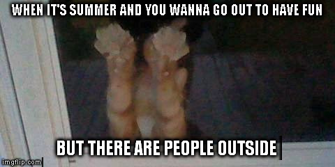 Too many people | WHEN IT'S SUMMER AND YOU WANNA GO OUT TO HAVE FUN; BUT THERE ARE PEOPLE OUTSIDE | image tagged in meme,cat,summer | made w/ Imgflip meme maker