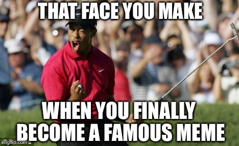 THAT FACE YOU MAKE WHEN YOU FINALLY BECOME A FAMOUS MEME | made w/ Imgflip meme maker