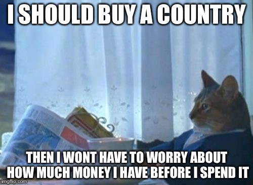 I SHOULD BUY A COUNTRY THEN I WONT HAVE TO WORRY ABOUT HOW MUCH MONEY I HAVE BEFORE I SPEND IT | made w/ Imgflip meme maker