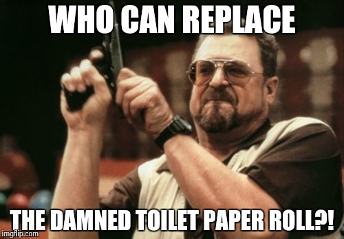 Am I The Only One Around Here Meme | WHO CAN REPLACE; THE DAMNED TOILET PAPER ROLL?! | image tagged in memes,am i the only one around here | made w/ Imgflip meme maker
