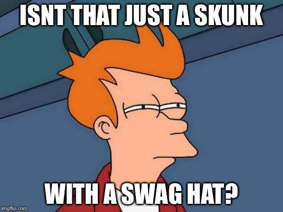 Futurama Fry Meme | ISNT THAT JUST A SKUNK WITH A SWAG HAT? | image tagged in memes,futurama fry | made w/ Imgflip meme maker