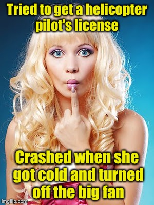 Dumb blonde | Tried to get a helicopter pilot's license; Crashed when she got cold and turned off the big fan | image tagged in dumb blonde | made w/ Imgflip meme maker