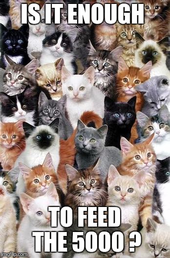 Memes | IS IT ENOUGH TO FEED THE 5000 ? | image tagged in memes | made w/ Imgflip meme maker