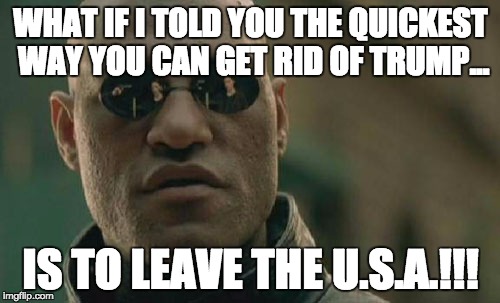 Matrix Morpheus Meme | WHAT IF I TOLD YOU THE QUICKEST WAY YOU CAN GET RID OF TRUMP... IS TO LEAVE THE U.S.A.!!! | image tagged in memes,matrix morpheus | made w/ Imgflip meme maker