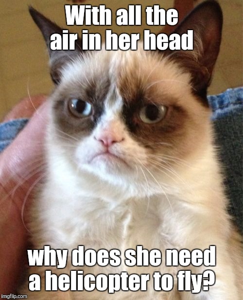 Grumpy Cat Meme | With all the air in her head why does she need a helicopter to fly? | image tagged in memes,grumpy cat | made w/ Imgflip meme maker