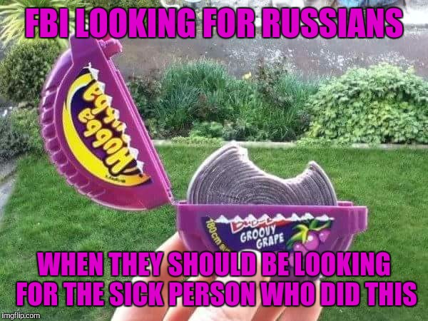 There are some sick people out there | FBI LOOKING FOR RUSSIANS; WHEN THEY SHOULD BE LOOKING FOR THE SICK PERSON WHO DID THIS | image tagged in memes,fbi,perfection | made w/ Imgflip meme maker
