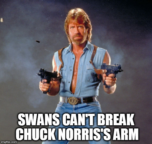 Chuck Norris | SWANS CAN'T BREAK CHUCK NORRIS'S ARM | image tagged in memes,chuck norris guns,chuck norris | made w/ Imgflip meme maker