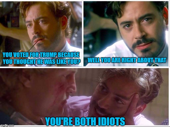 So, you can relate to Trump? | YOU VOTED FOR TRUMP BECAUSE YOU THOUGHT HE WAS LIKE YOU? WELL YOU ARE RIGHT ABOUT THAT; YOU'RE BOTH IDIOTS | image tagged in donald trump,robert downey jr,political meme,politics,dump trump,anti trump | made w/ Imgflip meme maker