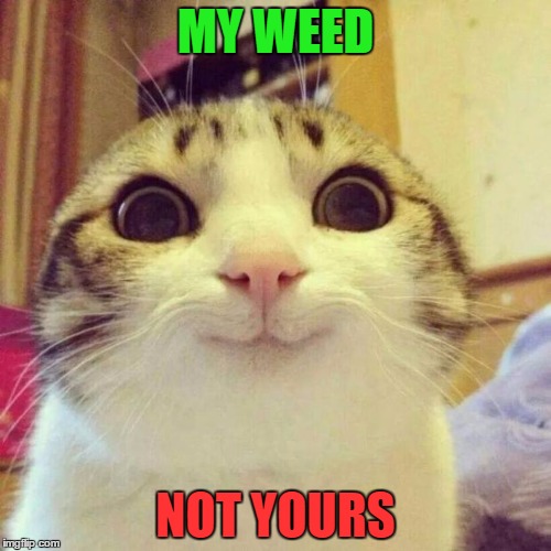 Smiling Cat Meme | MY WEED; NOT YOURS | image tagged in memes,smiling cat | made w/ Imgflip meme maker