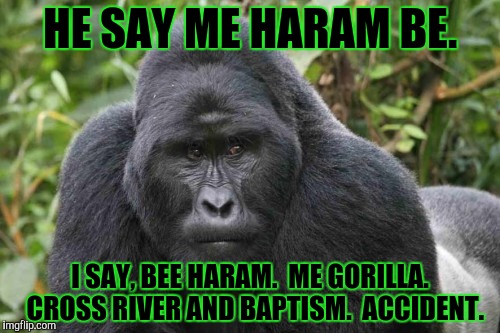 4chan Spirit Animal Confirmed? | HE SAY ME HARAM BE. I SAY, BEE HARAM.  ME GORILLA.  CROSS RIVER AND BAPTISM.  ACCIDENT. | image tagged in brace yourselves x is coming | made w/ Imgflip meme maker