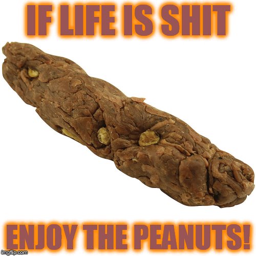 Life is shit | IF LIFE IS SHIT; ENJOY THE PEANUTS! | image tagged in optimism,life,poop,shit | made w/ Imgflip meme maker